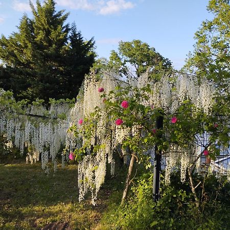 Chambres D'Hotes La Tour De Bellevue ソミュール エクステリア 写真
